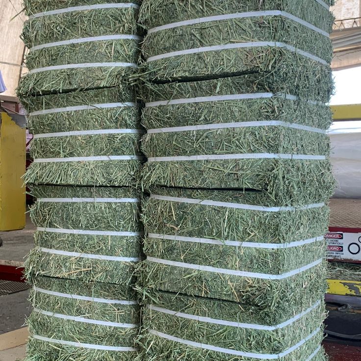 Alfalfa Hay Double compressed and Half Cut Bale