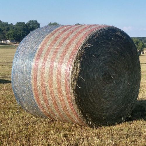 Round Bale Alfalfa Hay